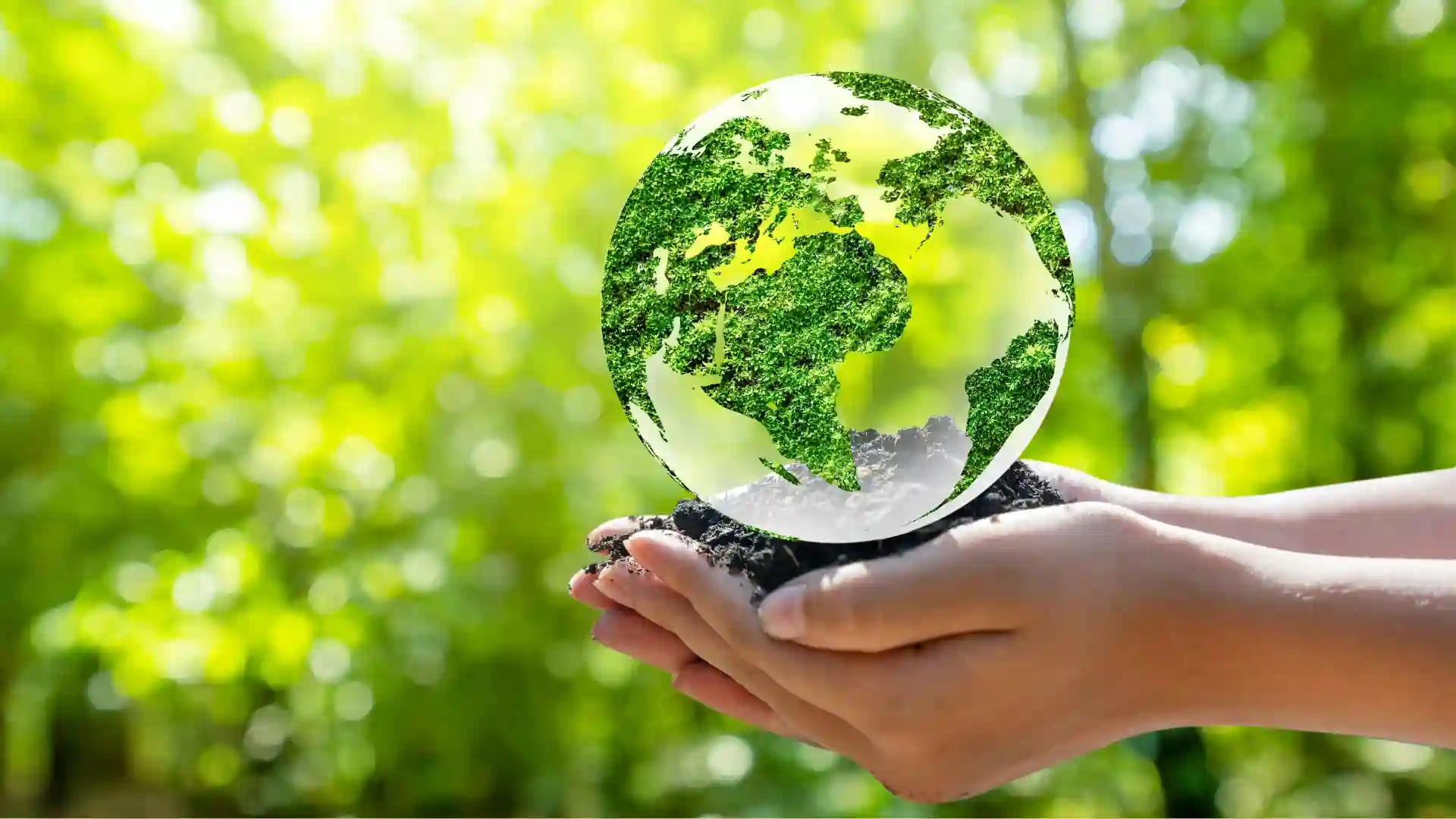 グローバル展開